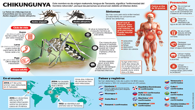 chikungunya-portada