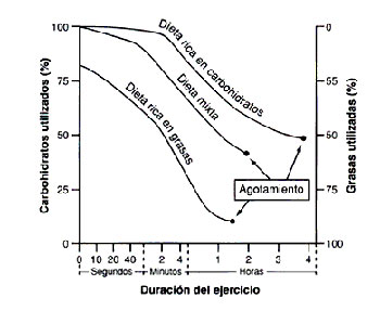 grafico-obesidad