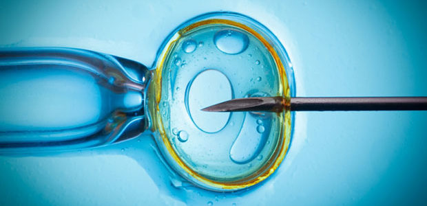 FIV Fecundación in Vitro