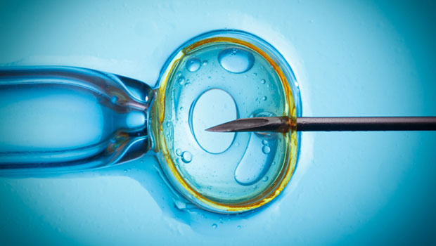 FIV Fecundación in Vitro