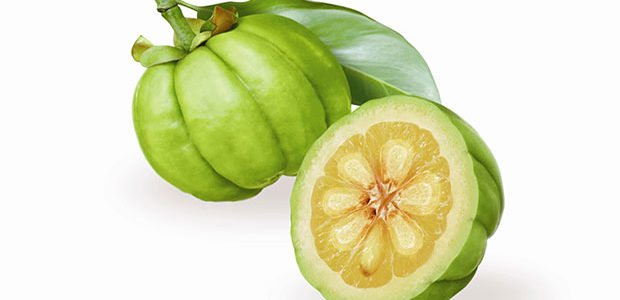 Garcinia Cambogia