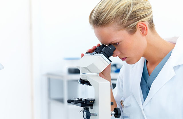 Estómago funcional en laboratorio