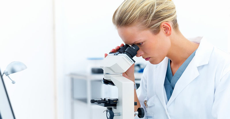 Estómago funcional en laboratorio