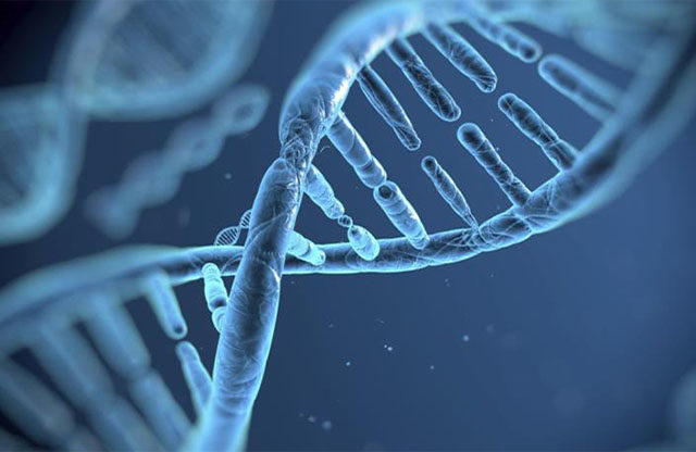 El gen que reduce la metástasis en tumores