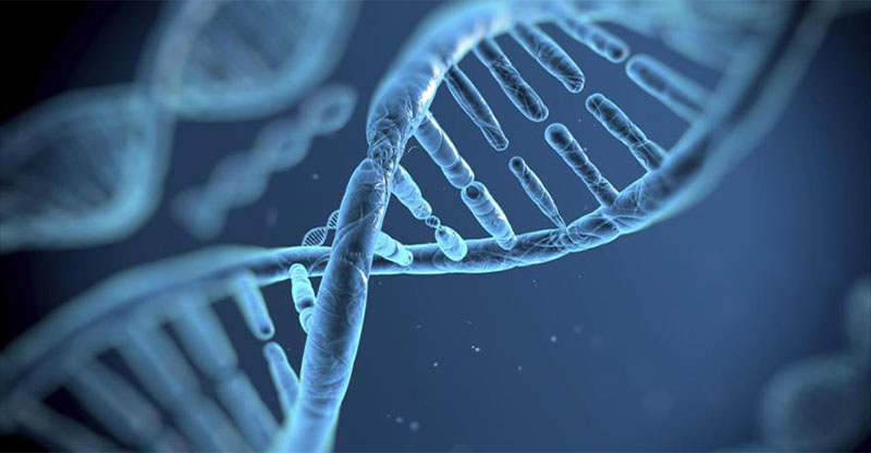 El gen que reduce la metástasis en tumores