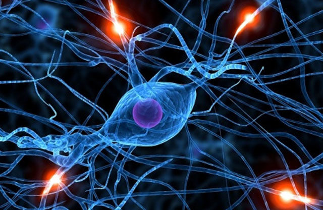 Conexiones Neuronales