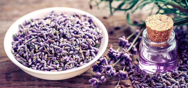 Remedios caseros para el dolor de muelas