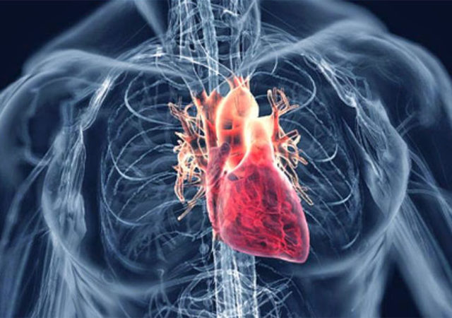 Enfermedades Cardiacas