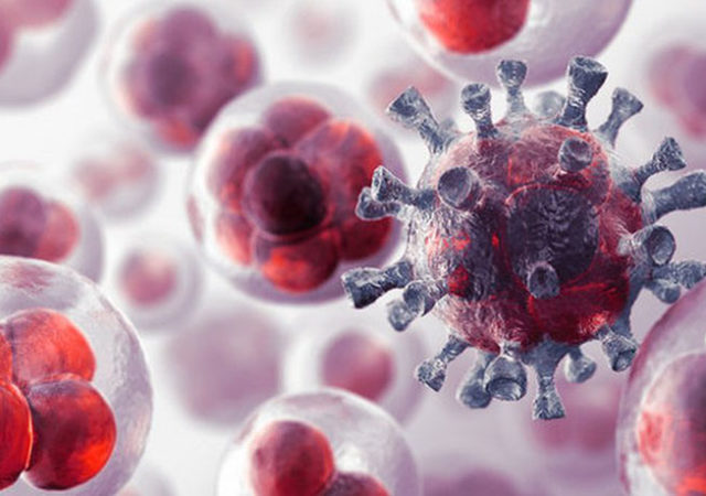 Virus contra células cancerosas