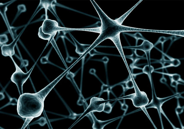 Envejecimiento cerebral