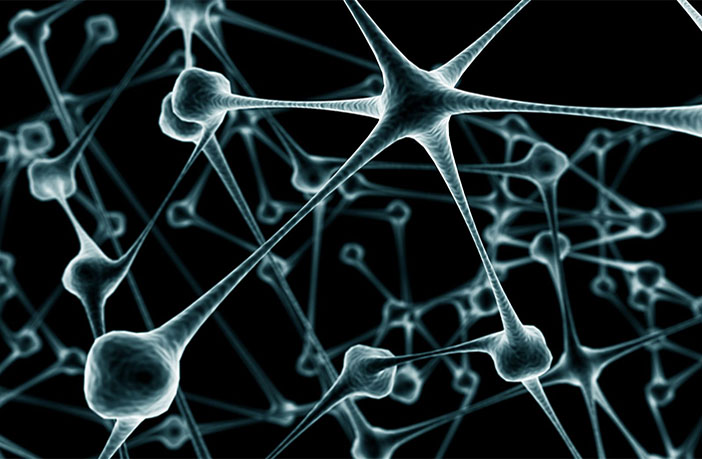 Envejecimiento cerebral