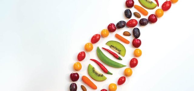 Comportamientos alimentarios