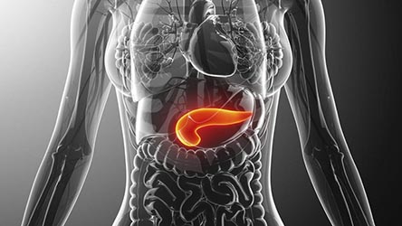Ubicación del pancreas