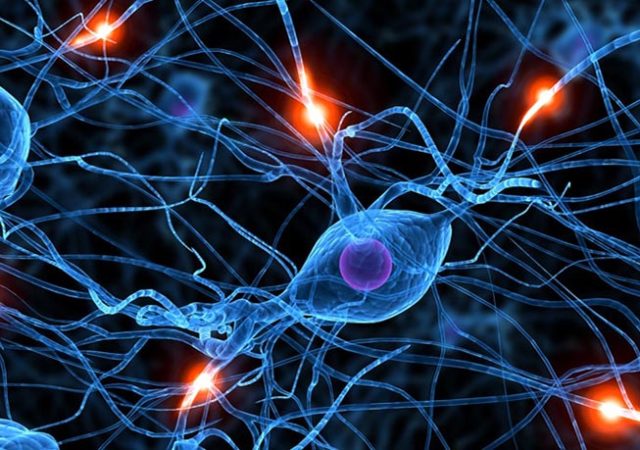 Serotonina neurotransmisor