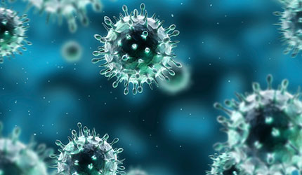 Influenza virus