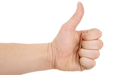 Pulgar
